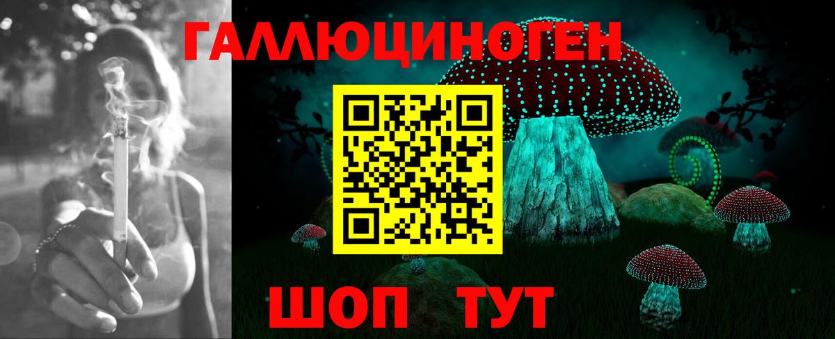 купить   Вход с VPN  Карачаевск  Галлюциногенные грибы Cubensis 