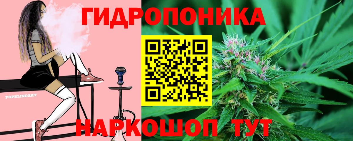 Шишки марихуана White Widow  Марихуана планчик  Вход с VPN  Конопля THC 21%  МАРИХУАНА конопля  Карачаевск 